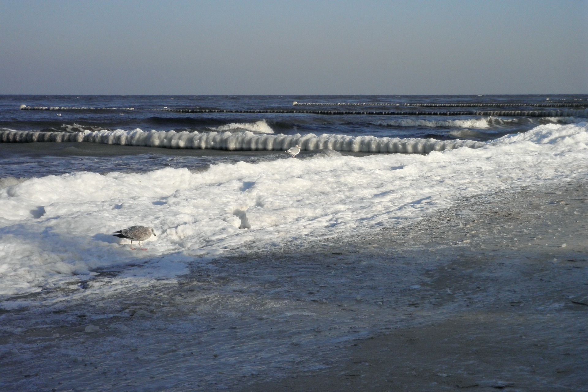 Menschenleerer Strand im Winter